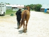At riding school