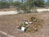 The Grave of Jack Jaxon